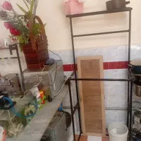 کافی بار سالم