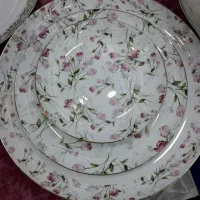 آرکوپال زیبا نوی نو