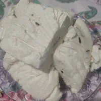 پنیر|خوردنی و آشامیدنی|انزل, |دیوار