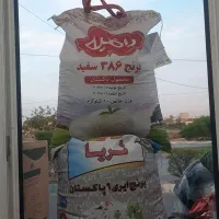 برنج پاکستان