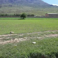 فروش-فوری-5000مترزمین-آبی-دونبش-سندی-رباط