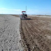 زمین کشاورزی|فروش دفتر صنعتی، کشاورزی، تجاری|نظرآباد, احمد آباد|دیوار