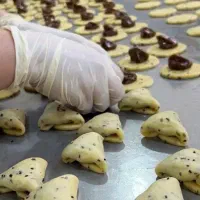 کلوچه با خرما زرد عسلی شیرین ناب ضمانت مرجوعه