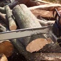 بریدن چوب|خدمات باغبانی و درختکاری|بروجرد, |دیوار