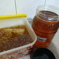 عسل طبیعی سیاهدانه خام 1 کیلویی سبلان