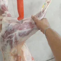 گوشت بومی|خوردنی و آشامیدنی|اصفهان, شیخ طوسی|دیوار