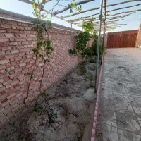 خانه باغ،سوله، جاده کنار تالار پاسارگاد|فروش دفتر صنعتی، کشاورزی، تجاری|بافت, |دیوار