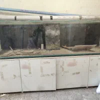 اکواریوم اب شیرین و شور