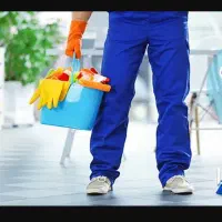 نیروی کار خانم