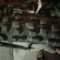 دوچرخه ۲۶اساک|دوچرخه، اسکیت، اسکوتر|زاهدان, |دیوار