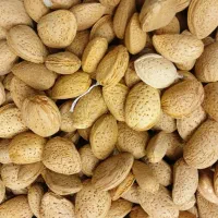 فروش بادام سنگی