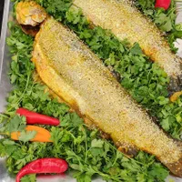 انواع ماهی قزل سالمون تازه شکم پر طعم دار شده آوات|خوردنی و آشامیدنی|اصفهان, گلزار|دیوار