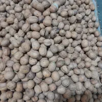 گردو|خوردنی و آشامیدنی|سیمکان, |دیوار