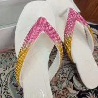 کفش های مجلسی|کیف، کفش، کمربند|طرقبه, |دیوار