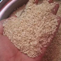 برنج روستای کره اب دنا