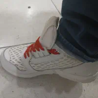 آدیداس نیوبالانس کتونی گلف|کیف، کفش، کمربند|آبسرد, |دیوار