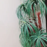 درخچه درحد نو|گل مصنوعی|زابل, |دیوار