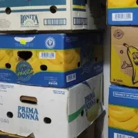 کارتن موز