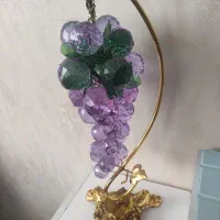 انگور تزیینی