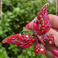 باز هم یک سنجاق سینه ی زیبا و خیره کننده