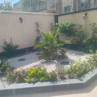سمپاشی وباغبانی و متخصص گل وگیاه آپارتمانی