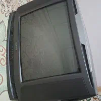 تلویزیون