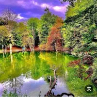 تور یک روزه شمال ساحل متل قو و مرداب هسل (مشعل)|تور و چارتر|تهران, شهرک آپادانا|دیوار