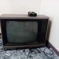 تلفزیون