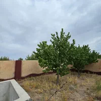 باغچه ویلایی ۵۰۰متربا استخرو اتاق سنددار شاهنامه۶۹|فروش خانه و ویلا|مشهد, درزآب|دیوار