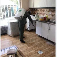 سمپاشی باضمانت۲ساله بدون نیاز به شستوشو.بهترین قیم|خدمات نظافت|کیش, |دیوار