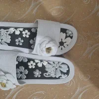 دمپایی زنانه|کیف، کفش، کمربند|کنگاور, |دیوار