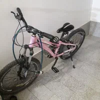 برند گالانت