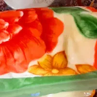 پتو نو یک نفره ودونفره|رختخواب، بالش، پتو|رشت, استقامت ۲|دیوار