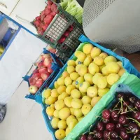 فروشنده منظم و خوش صحبت
