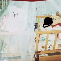 گهواره و تخت کودک