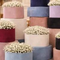 به چندنفر همکار خانم نیازمندیم