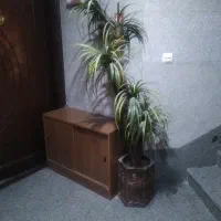 درخت نخل تزیینی  مصنوعی