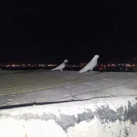 کبوتر|پرنده|ساوه, |دیوار