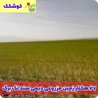 ۲۷ هکتار زمین کشاورزی دارای سند تکبرگ .کوشکک