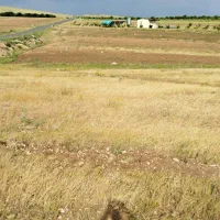 زمین ویلائی و کشاورزی 4000 متر با دید کوه