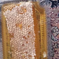 از تولید به مصرف عسل کوهی به شرط