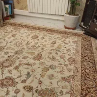 فرش|فرش|تهران, هلال احمر|دیوار