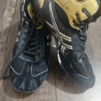کفش کشتی برنده اسیکس