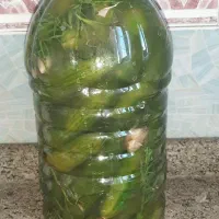 خیار شور اماده