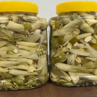 ترشیجات خوشمزه وکاملا تمیز خانگی