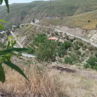 فروش زمین|فروش زمین و ملک کلنگی|آبعلی, |دیوار