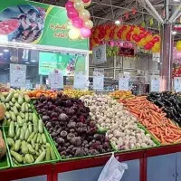 همکاری میوه فروشی