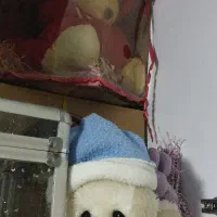 عروسک برای بچه‌ها ،نو