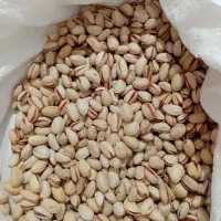 پسته درجه یک