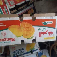 کارتن موز . انبه انار  و جعبه سبد|عمدهفروشی|خرمدره, |دیوار